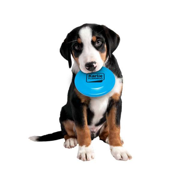 Karlie Flamingo Welpen Frisbee - Blau, 12 cm