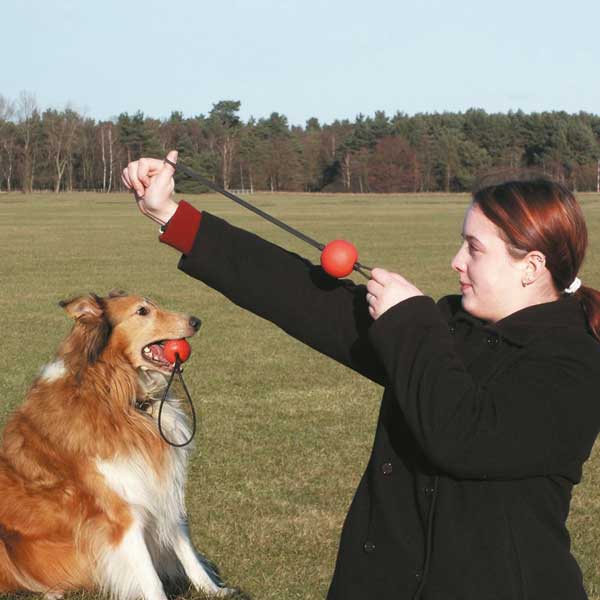 Karlie Wurfspielzeug FLYING STAR