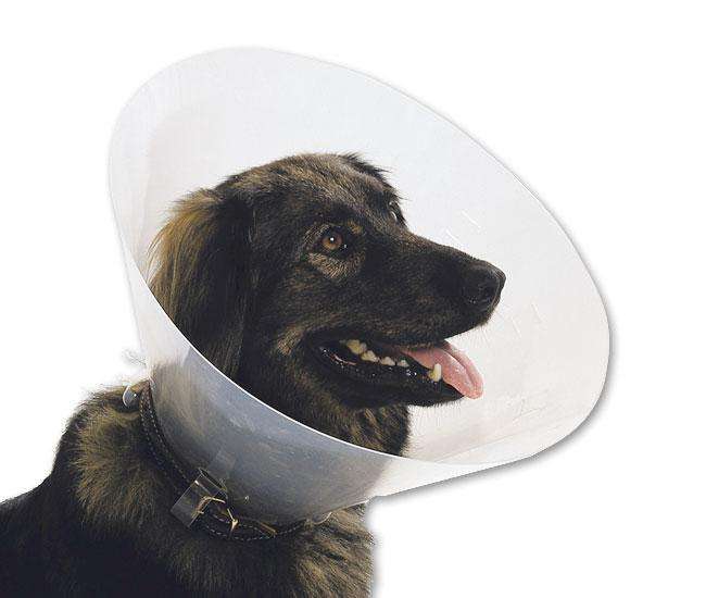 Karlie SENIOR DOG TOY Ball mit Seil - 10 cm