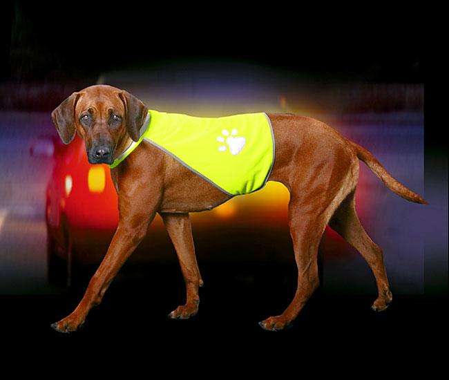 Karlie SAFETY-DOG Sicherheitsweste - Gelb - M