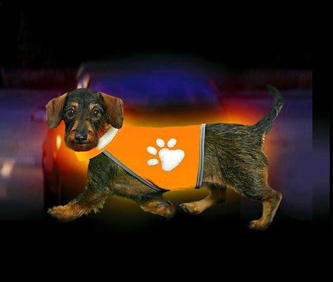 Karlie SAFETY-DOG Sicherheitsweste - Orange - S
