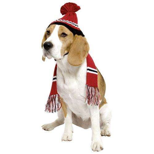 Karlie Strickmütze und Schal für Hunde