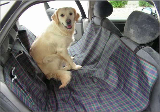 Pet-Star Autoschondecke