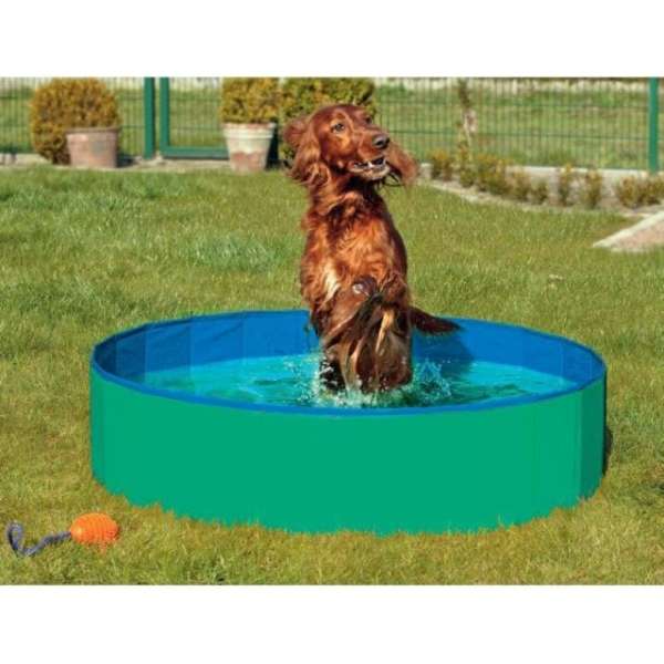 Karlie DOGGY POOL der Swimmingpool für Hunde - Grün-Blau - 160 cm