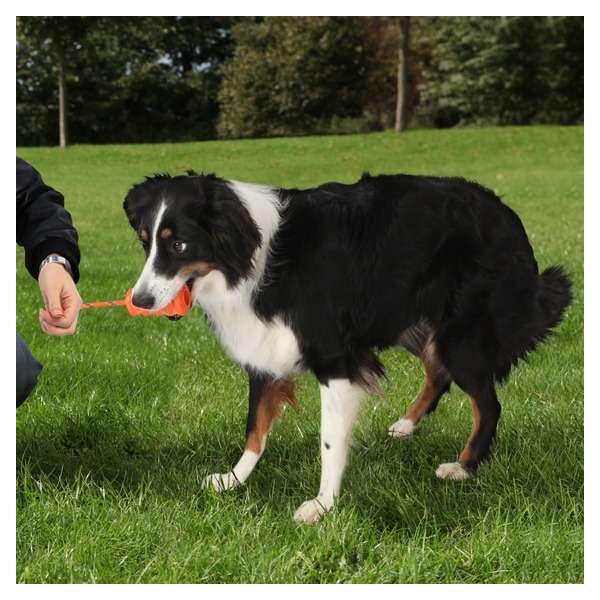 Trixie Ekard Lind Fun-Mot - 9 cm