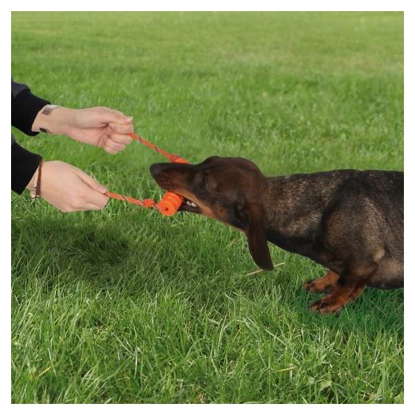 Trixie Ekard Lind Long-Mot mini - 10 cm