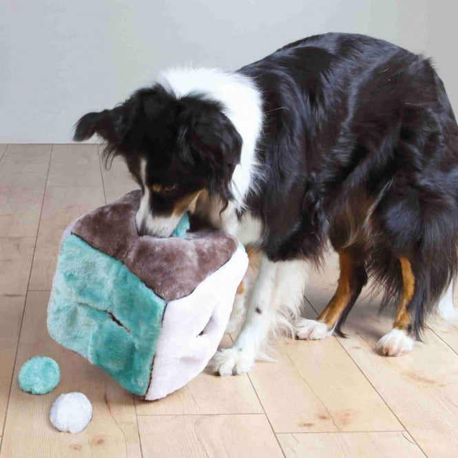 Trixie Plüschwürfel mit 4 Spielbällen - 21 cm