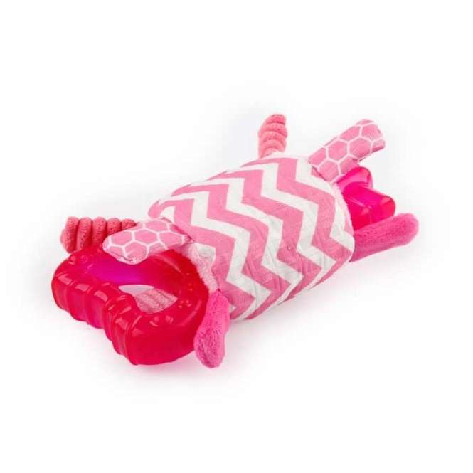 All for Paws Little Buddy - Teething Key Rosa