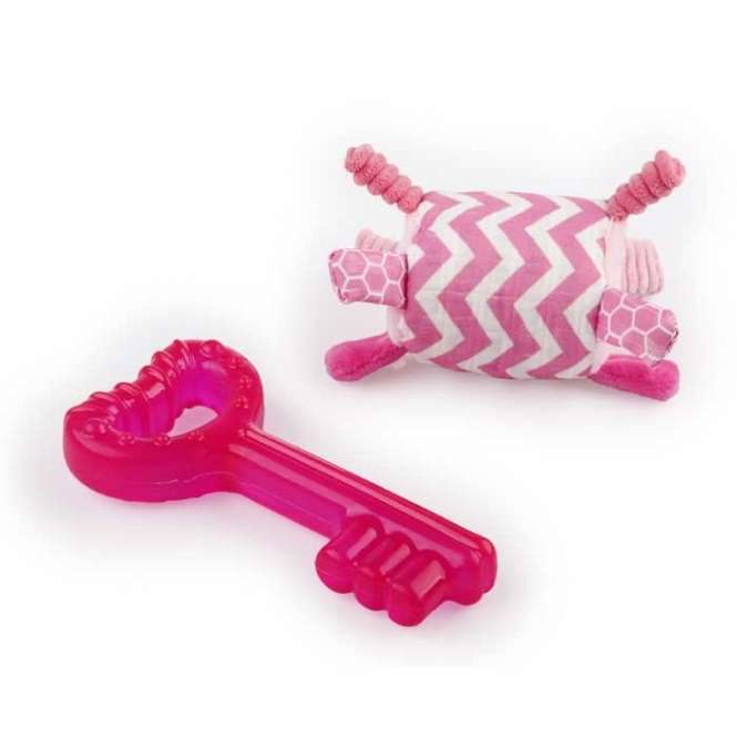 All for Paws Little Buddy - Teething Key Rosa