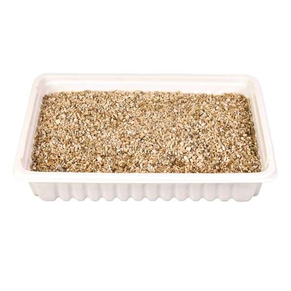 Trixie Katzengras-Schale, ca. 100 g