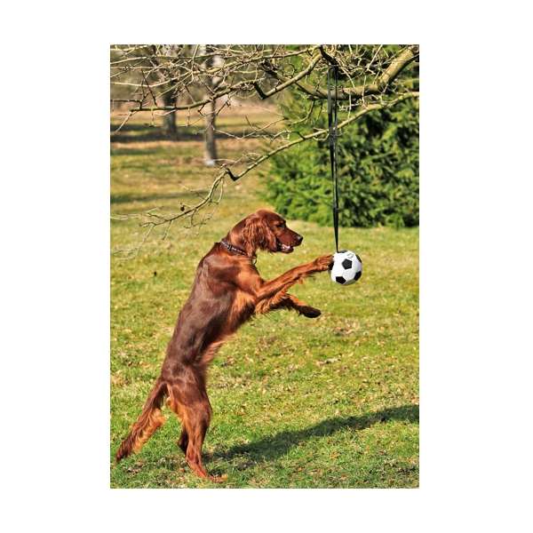 Karlie FLYING BIG BALL mit Handschlaufe + Nylonband