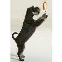 Karlie BELLO BELL - 2 Glocken mit Anleitung