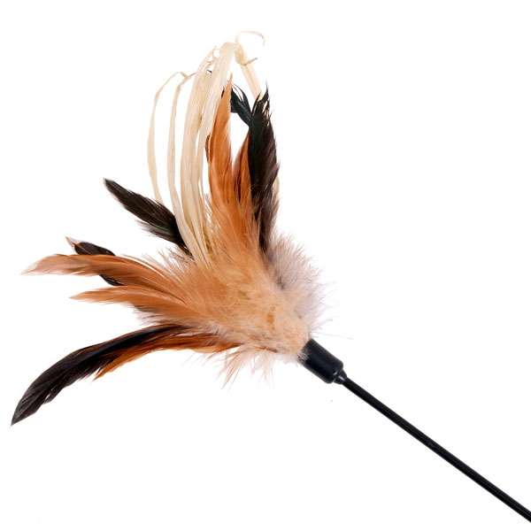 Karlie Spielstick Earth mit Federn + Maisblättern - 67 cm