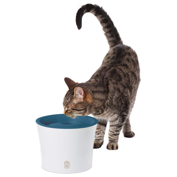 CATIT Trinkbrunnen 3 Liter - dunkelblau