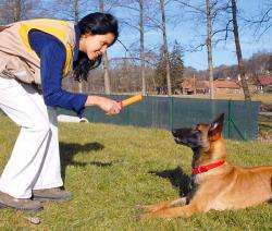 Karlie LIND-ART Beiss-Spielzeug NEW LONG