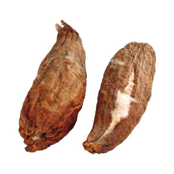 Trixie 2 Baumwollschoten