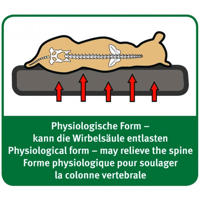 Karlie Orthomatte - 60 x 40 cm