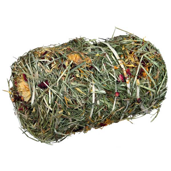 PETSPORT Medium-2-Knotenseil mit Ball