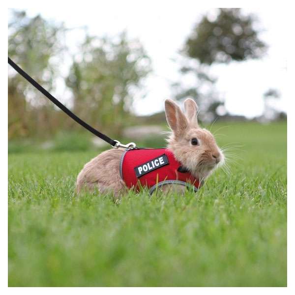 Trixie XBunny Garnitur für Kaninchen