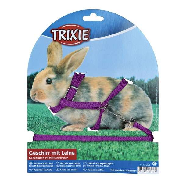 Trixie Kleintier-Garnitur mit Leine - 8 mm
