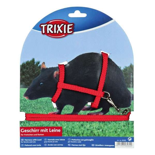 Trixie Ratten- und Frettchen-Garnitur