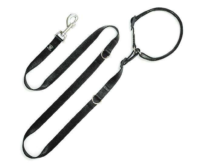 Karlie ASP Leine mit Halsband - Schwarz - 20 mm, 126 cm