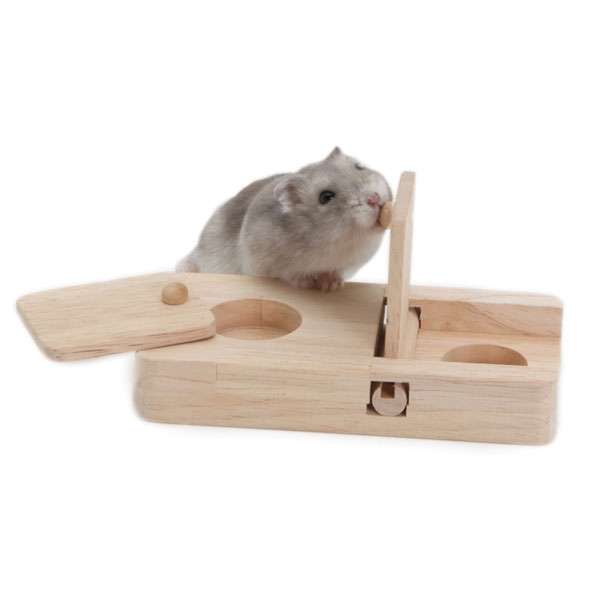 LIVING WORLD Green kleines Klappspiel für Kleinnager