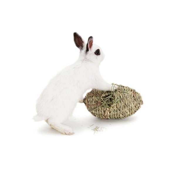 LIVING WORLD Green Seegras-Spiel - Oval