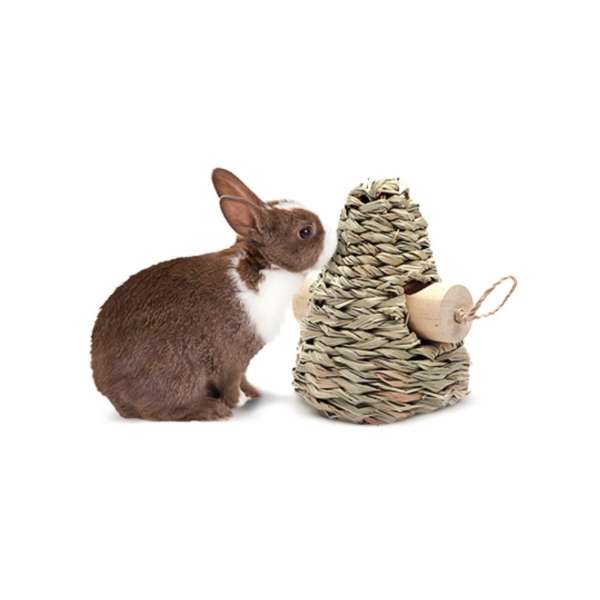 LIVING WORLD Green Seegras-Spiel - Kegelförmig