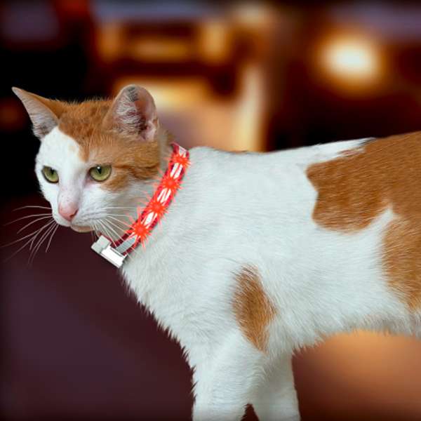Karlie LED Katzenhalsband