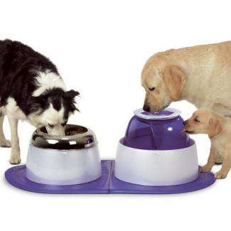 DOGIT Hundetrinkbrunnen 10.5L Blau