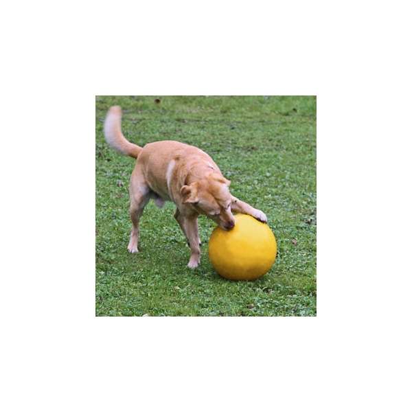 Kerbl Hundespielball Ø 30cm