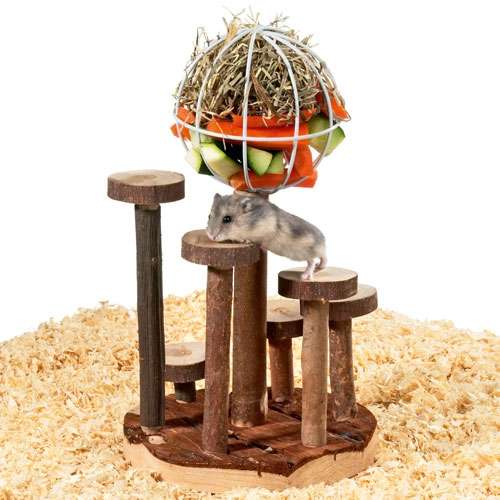 Karlie Rody Dinner World