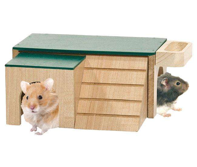 Karlie Holzhaus ERIK mit Leiter