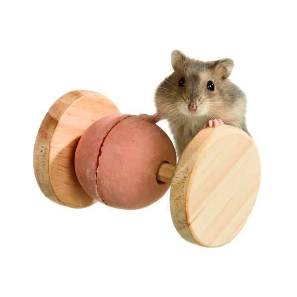 Karlie Wonderland Brain Train Magic Wheel