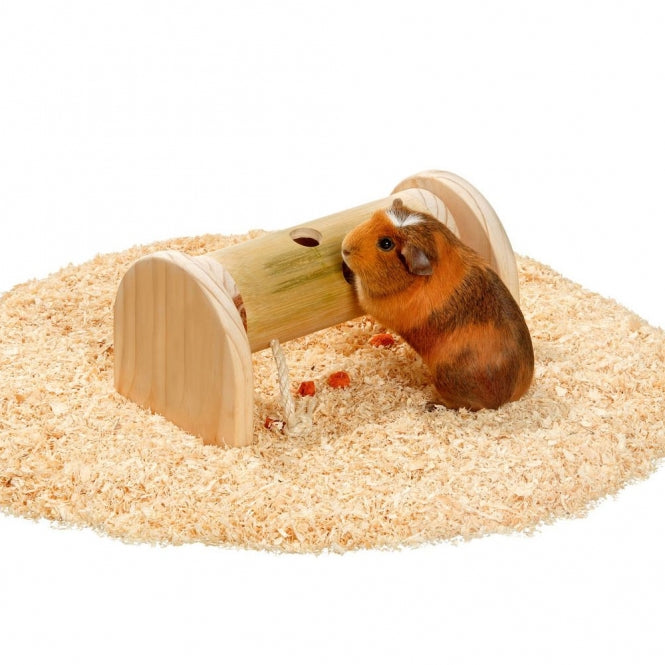 Karlie Rody Brain Train Roll