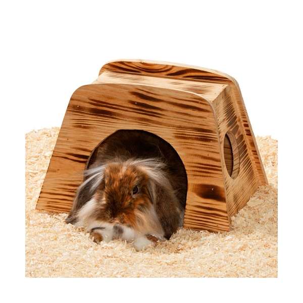 Karlie Xmas-Set Plüschtier mit Decke 70 x 95 cm - Elch