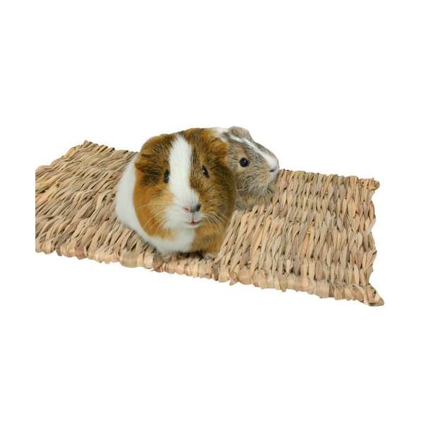 Karlie Rody Mat 38 x 28 cm