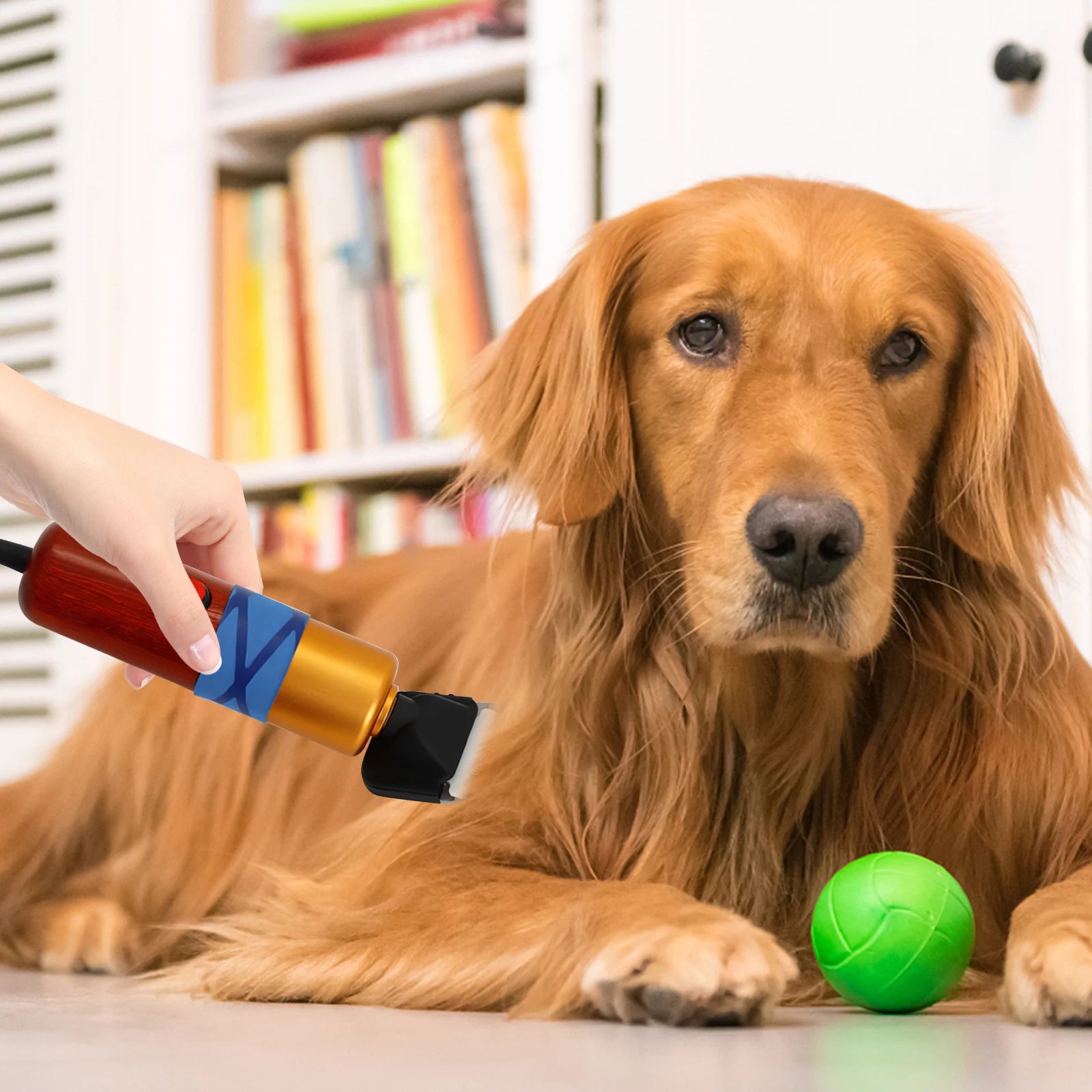 Elektrischer Haarschneider,neue fellpflege,Trimmen von lanhaarigen Hunden und Katzen