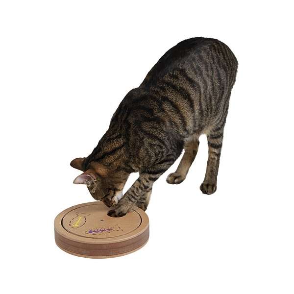 Kerbl Denk- & Lernspiel Exciting