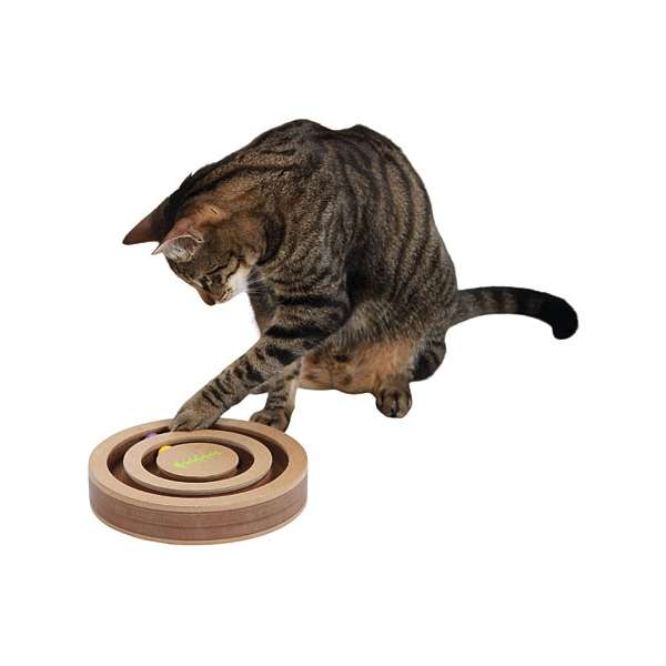 Kerbl Denk- & Lernspiel Exciting