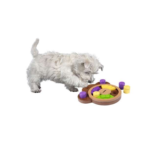 Kerbl Denk- & Lernspiel Paw