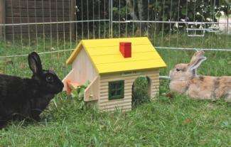 Kerbl Nagerhaus mit Früchtespieß