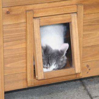 Kerbl Katzenhaus LODGE