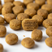 Animonda Integra Protect Niere Kibble