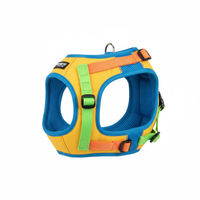 Einstellbare Hundeweste - Hauptbild