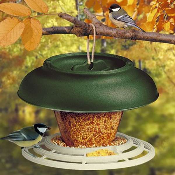 Marchioro Futterhaus Break