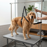 Hundepflege Bauchgurt in Verwendung