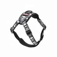Hunter Krazy Scull Geschirr XS - Hauptbild