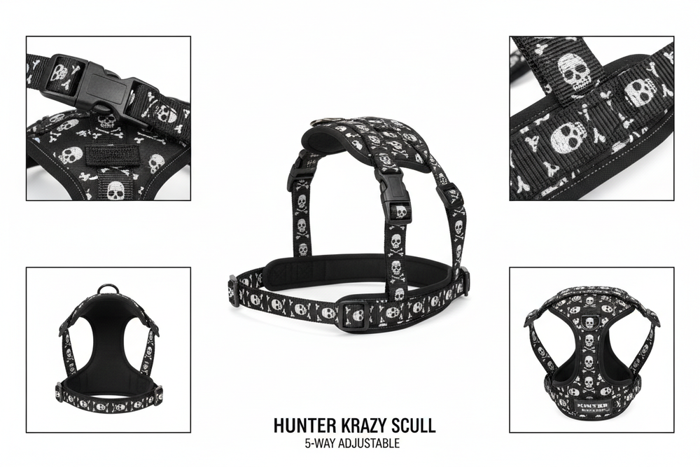 Hunter Krazy Scull verschiedene Ansichten